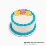 Sugar and Spice Chocolate / Plain Cake